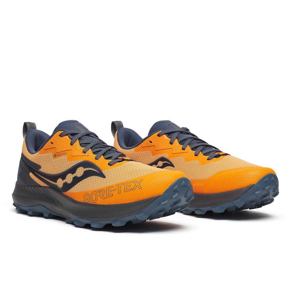 Saucony Peregrine 14 GTX Gri | 8247FIPYN
