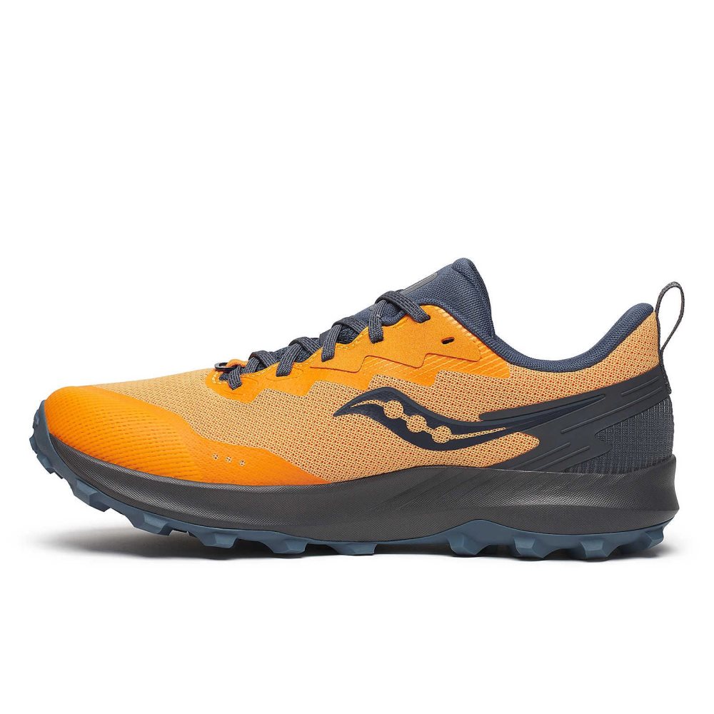 Saucony Peregrine 14 GTX Gri | 8247FIPYN