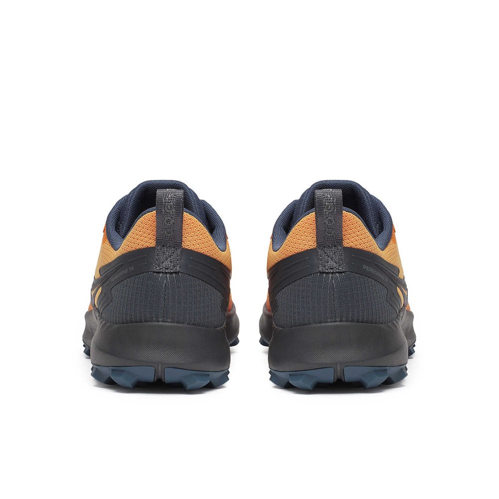 Saucony Peregrine 14 GTX Gri | 8247FIPYN