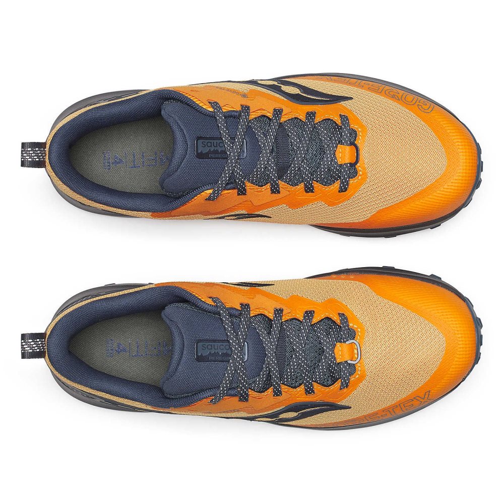Saucony Peregrine 14 GTX Gri | 8247FIPYN
