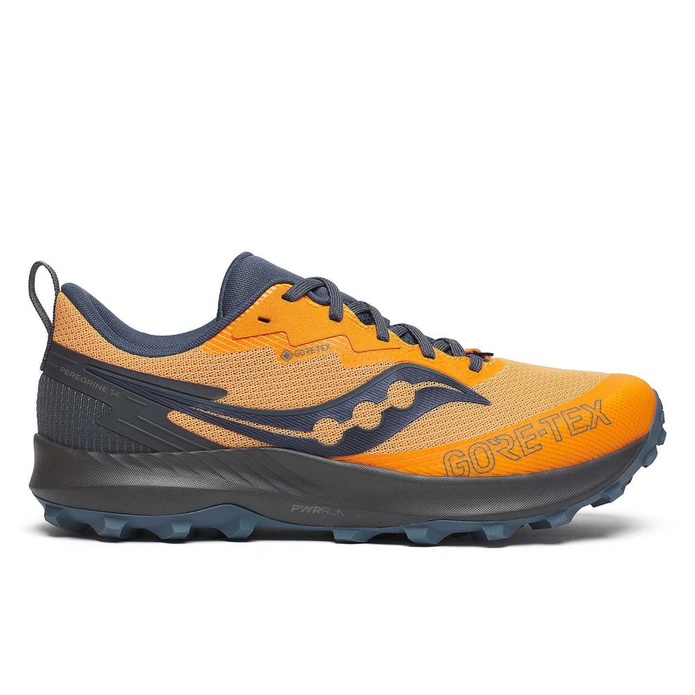 Saucony Peregrine 14 GTX Gri | 8247FIPYN