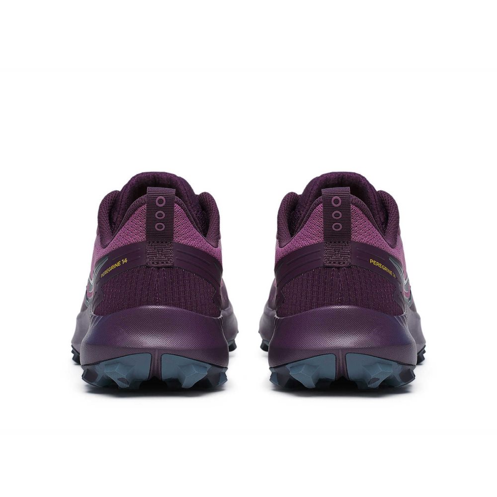 Saucony Peregrine 14 Violet | 7532TKDOE